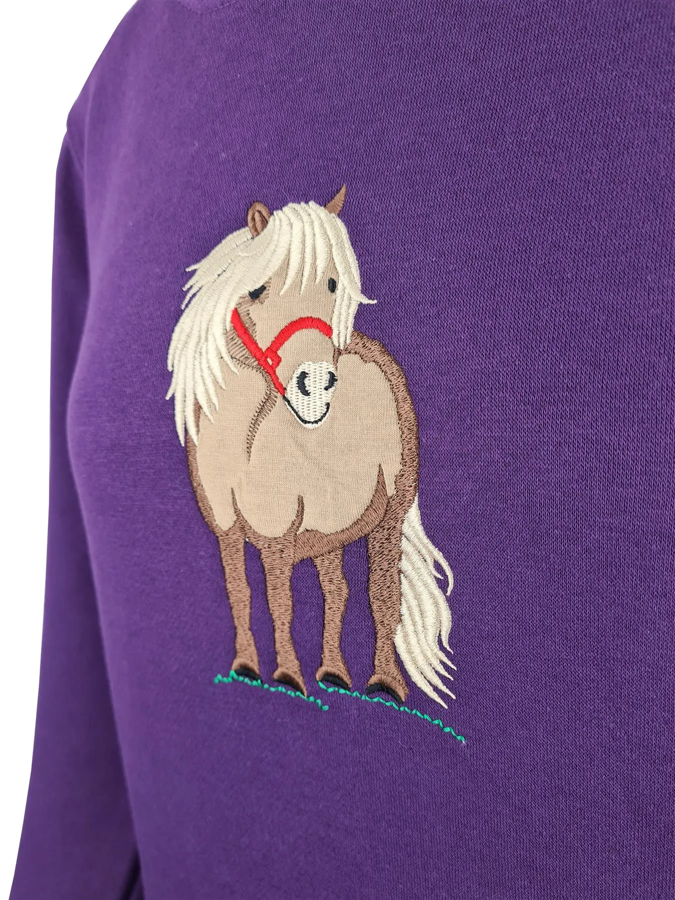 Hazy Blue Horse Childrens Hoodies -