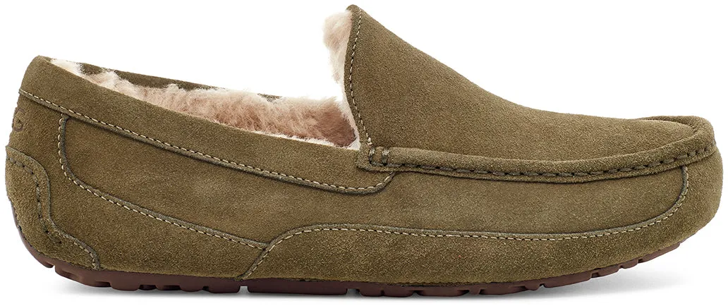 UGG Ascot Men